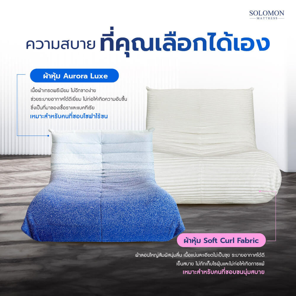 โซฟา SOLOMON รุ่น MORI ทูโทน สีขาว-น้ำเงิน_1